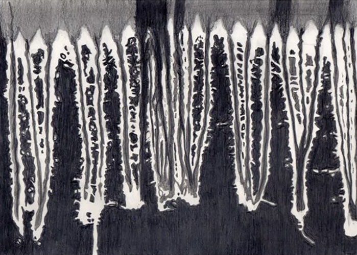 Petra Moerman, Sjaal franje, potlood, grafiet op papier, 19,5 x 27,5 cm, € 325,-