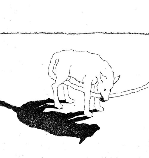 Rieks Pepping, Gebeten hond, pigment liner op papier, 19,5 x 18,3 cm, € 200,-