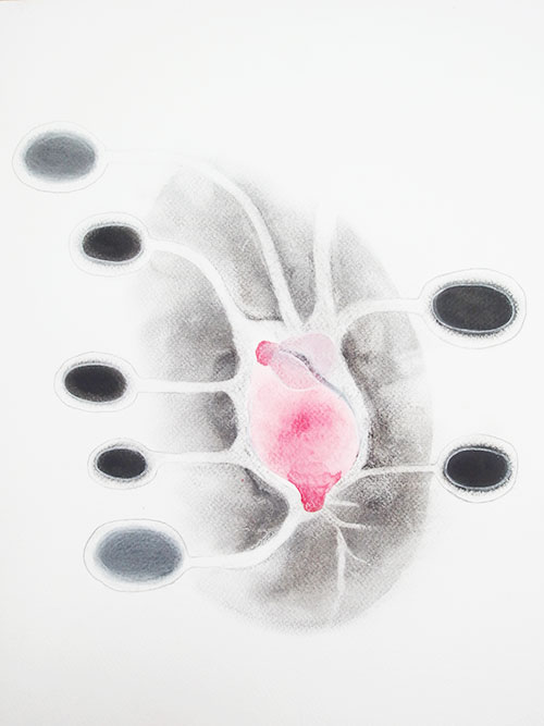 Daphne Riedijk, Expand, conté, aquarel, houtskool, potlood op papier, 40 x 30 cm, € 480,-