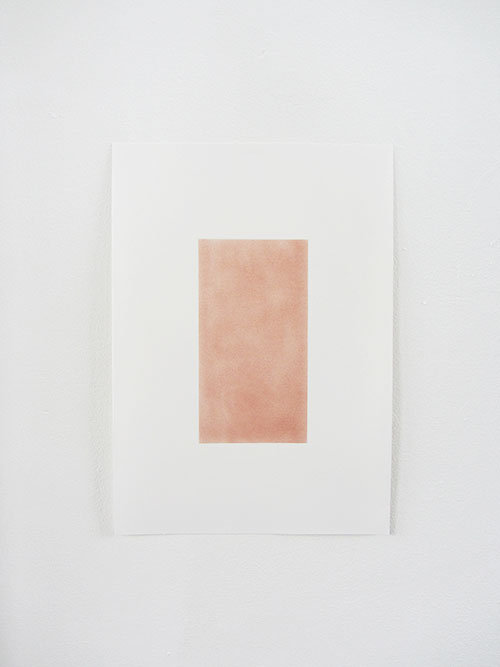 Janina Schipper, Koper, pastel op tekenpapier, 42 x 29,7 cm, € 375,-