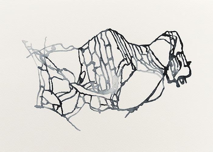 Ronald de Ceuster, Deformed Rozet,  aquarelverf op papier, 29,7 x 42 cm, € 300,-