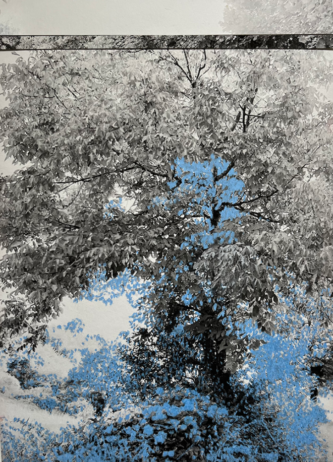 35 Marly Hendricks - Resonance #19