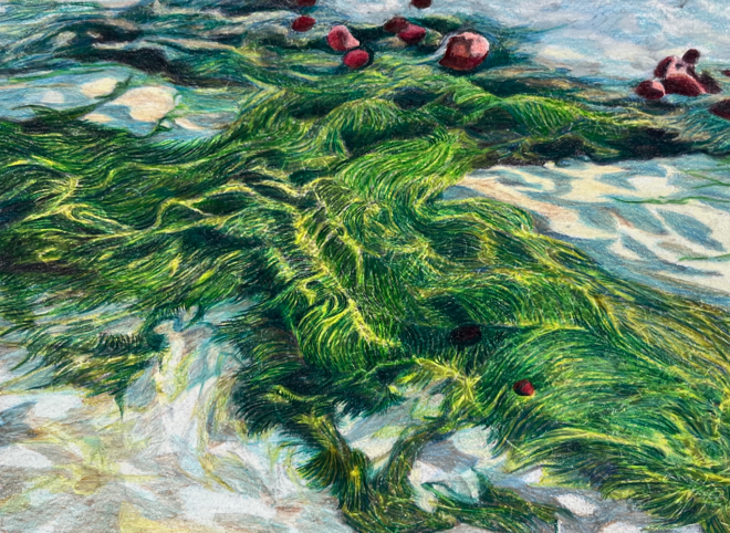 43 Ninet Kaijser - Kosmos LXII (2026)