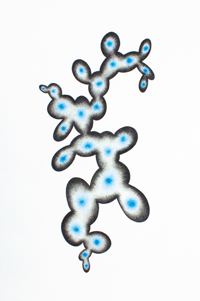 93 Jaco van der Vaart - Blue Moon 5