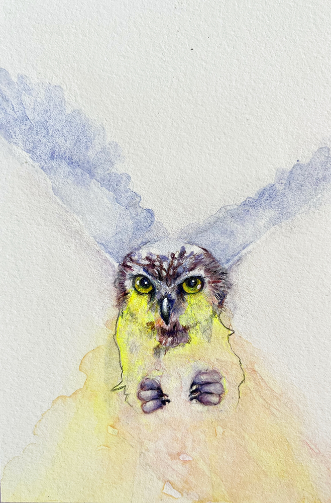 71 Henrique van Putten - Leave me as you found me II (2026)