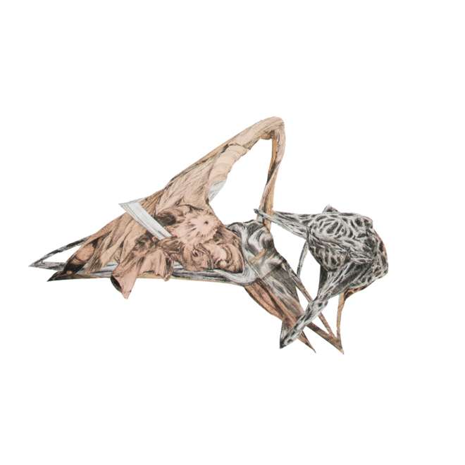 102 Tienke Zijlstra - z.t. (2026)